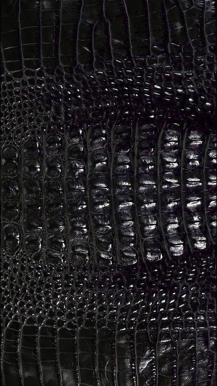 media.description